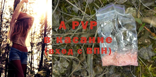 амф Арсеньев