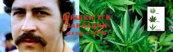 ПСИЛОЦИБИНОВЫЕ ГРИБЫ Алзамай